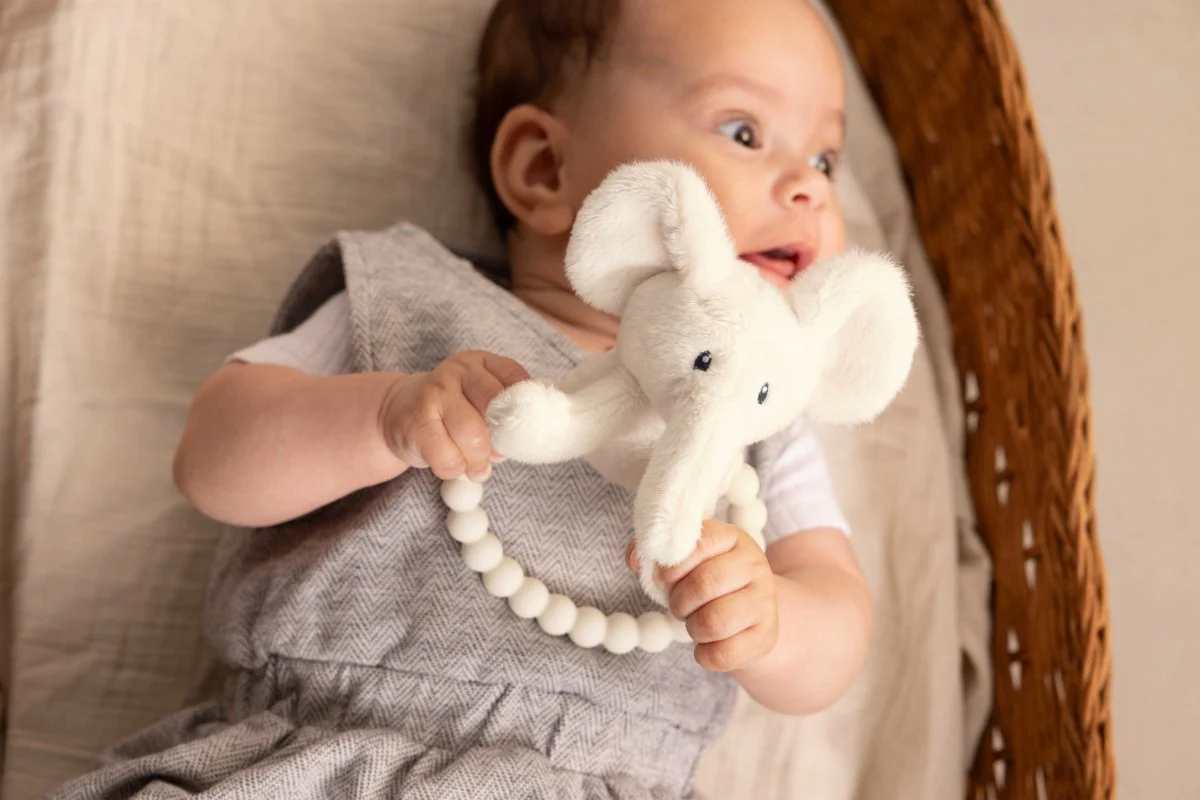BamBam Bijtring Elephant - Image 3