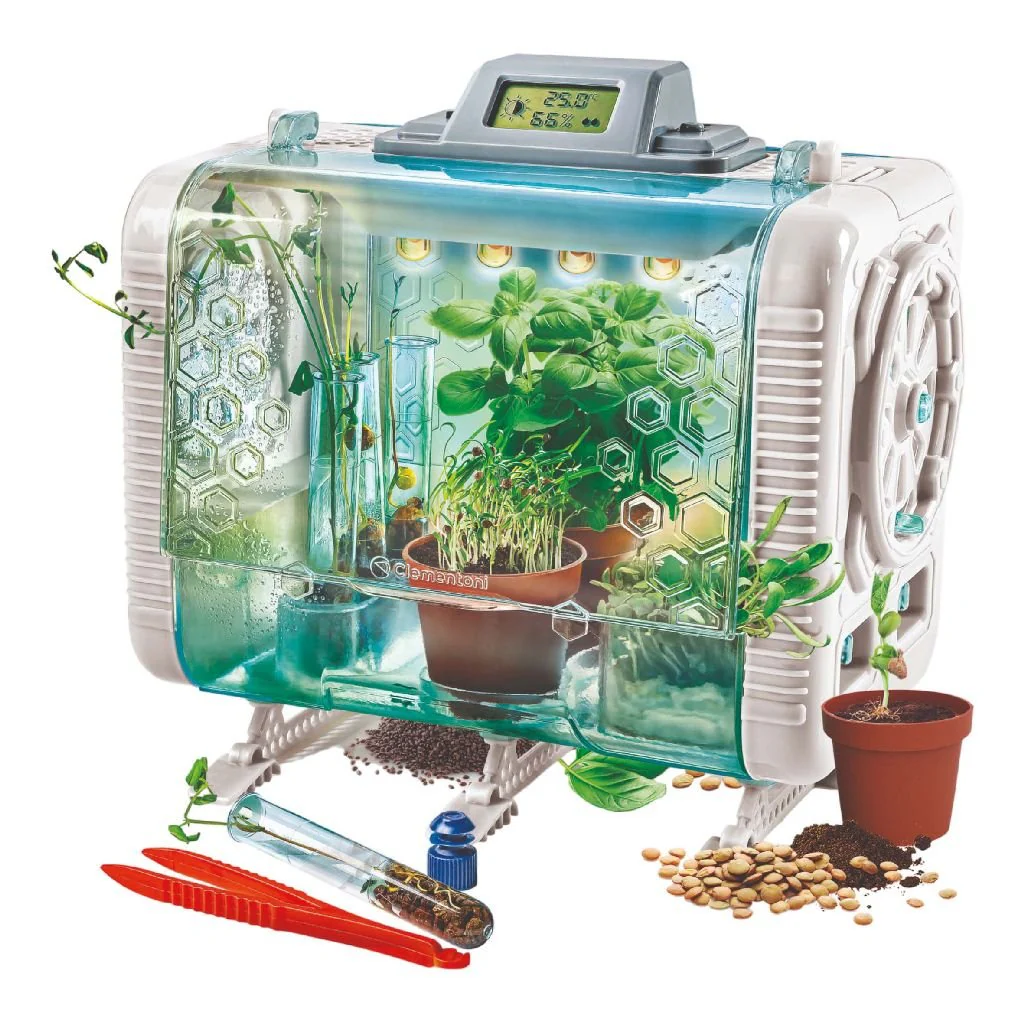 Miniatuur 2