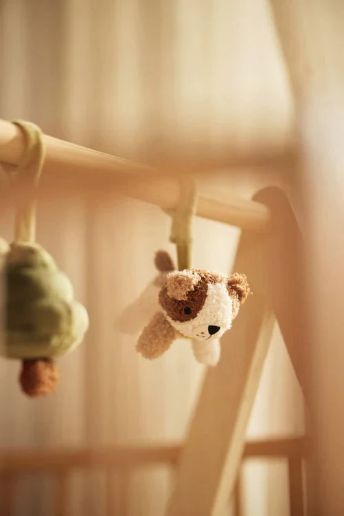 Jollein Babygym Speeltjes Tiny Park - Image 6