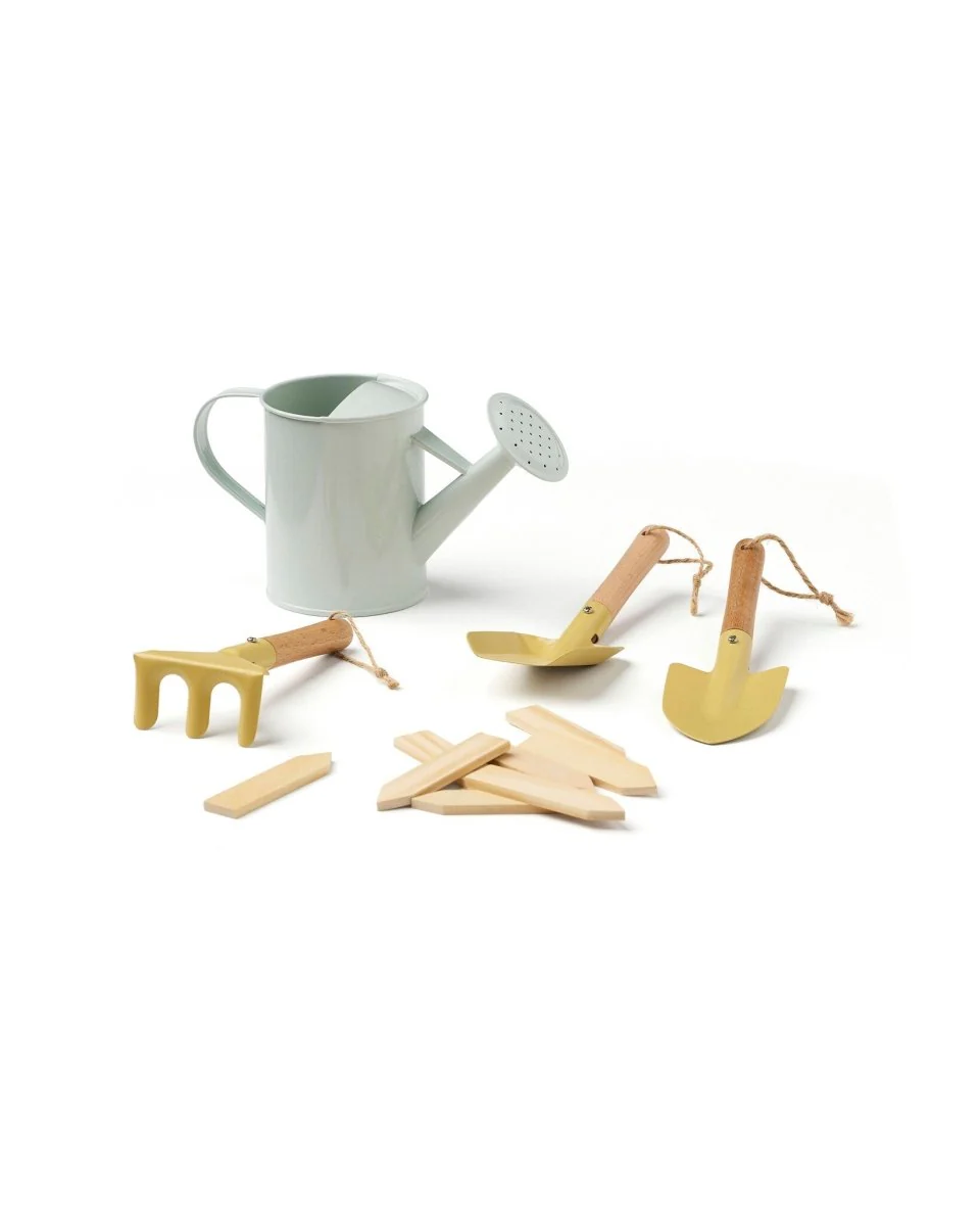 Miniatuur 2